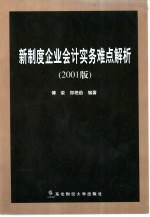 新制度企业会计实务难点解析 2001版