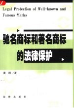 驰名商标和著名商标的法律保护 从识别到表彰