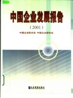 中国企业发展报告 2001