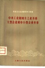 中央工业和地方工业并举 大型企业和中小型企业并举