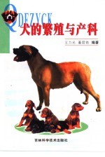 犬的繁殖与产科