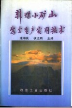 非煤小矿山安全生产实用技术