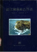 浙江海藻原色图谱