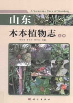 山东木本植物志  上