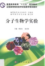 分子生物学实验