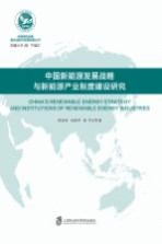 中国新能源发展战略与新能源产业制度建设研究