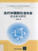 当代中国新社会阶层政治参与研究