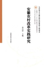 安徽农村改革实践研究