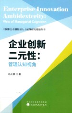 企业创新二元性 管理认知视角