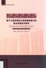 基于工程实践的大直径素混凝土桩复合地基技术研究