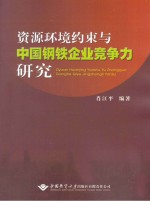 资源环境约束与中国钢铁企业竞争力研究