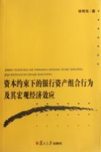 资本约束下的银行资产组合行为及其宏观经济效应