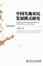 中国失地农民发展模式研究