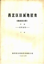 西北区区域地层表 陕西省分册 下