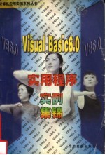 VISUAL BASIC 6.0实用程序实例集锦