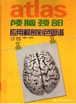 颅脑颈部应用解剖彩色图谱 英汉对照