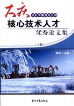 大庆油田有限责任公司核心技术人才优秀论文集 下