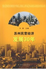 苏州民营经济发展30年