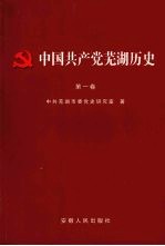 中国共产党芜湖历史 第1卷