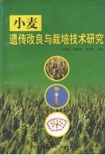 小麦遗传改良与栽培技术研究