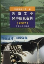 云南工业经济信息资料 2007