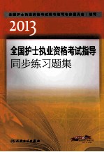 2013全国护士执业资格考试指导同步练习题集