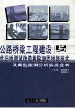 公路桥梁工程建设之危旧桥测试改造拆除加固维修技术及典型案例分析实务全书 上