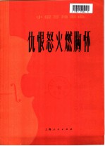 仇恨怒火燃胸怀 革命现代舞剧《白毛女》选段 小提琴独奏曲