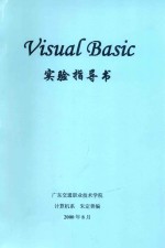 VISUAL BASIC 实验指导书