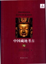 中国藏地考古  艺术考古编  西藏西部与环喜马拉雅佛教艺术  第7册