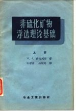 非硫化矿物浮选理论基础 上