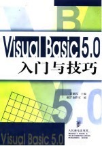 Visual Basic 5.0 入门与技巧