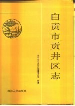 自贡市贡井区志