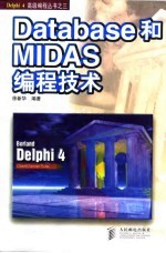 Database和MIDAS编程技术