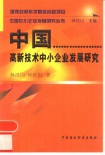 中国高新技术中小企业发展研究