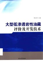 大型低渗透岩性油藏评价及开发技术