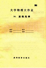 大学物理大作业  6  波动光学