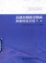 高速公路沥青路面病害特征识别图册