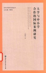 合作办学研究与实践丛书 大学与中小学合作的国际案例研究