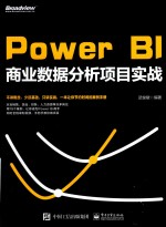 Power BI商业数据分析项目实战