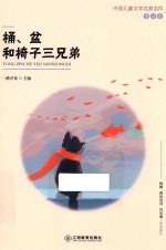 桶盆和椅子三兄弟 中国儿童文学名家名作