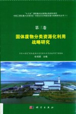 固体废物分类资源化利用战略研究 第3卷