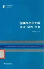 聚焦高水平大学 政策 实践 探索