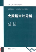 高等学校会计学与财务管理专业系列教材  大数据审计分析