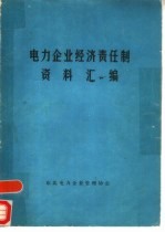 电力企业经济责任制资料汇编