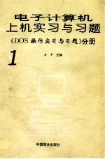 电子计算机上机实习与习题 1