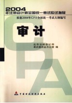 2004年注册会计师全国统一考试应试指导 审计