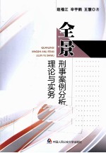 全景刑事案例分析理论与实务