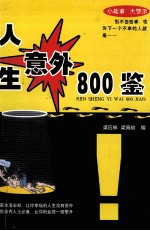 人生意外800鉴