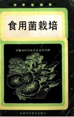 食用菌栽培